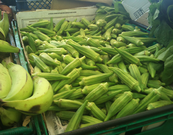 Okra